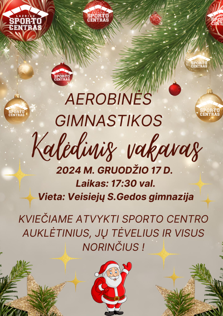 Read more about the article Aerobinės gimnastikos kalėdinis vakaras !