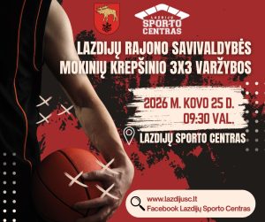 Read more about the article Lazdijų rajono savivaldybės mokinių krepšinio 3×3 varžybos